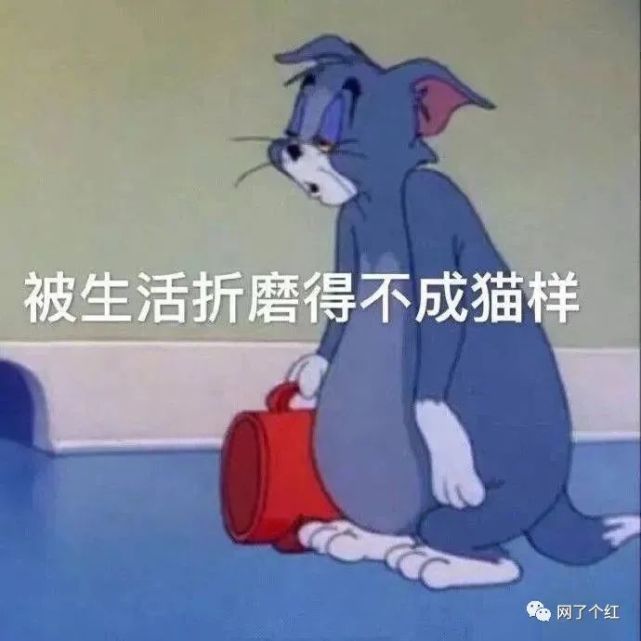 "爸爸家庭地位有多卑微?" 哈哈哈哈开头暴击|表情包