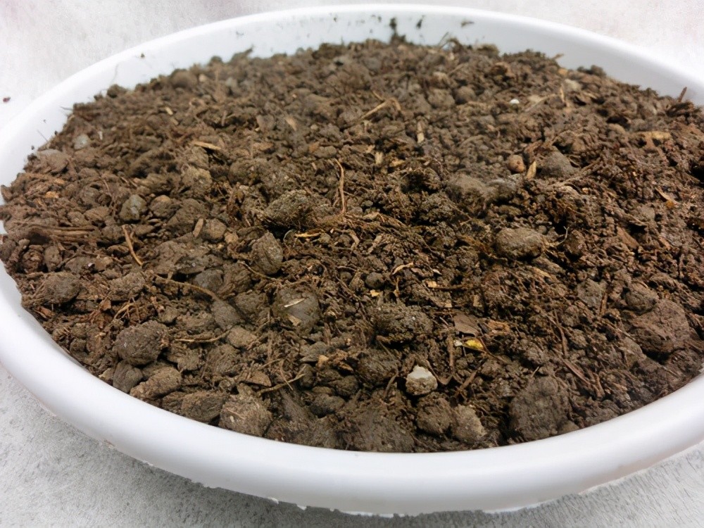 谁说田园土不能养花?在里面加入这几种物质,土壤肥沃,透气性好