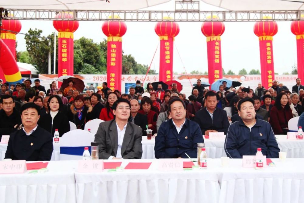 戏曲|卧龙区首届戏曲大赛总决赛成功举办