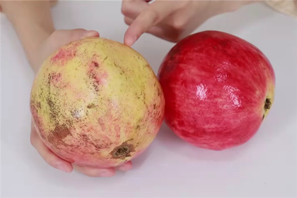 买石榴,挑黄不挑红,好多人都不知道,教你4招,个个香甜汁水多