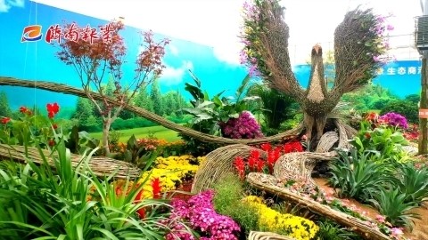 在传统庭院里感受花博会上的中国风 本地网站大全 济南论坛网 手机版 Powered By Discuz