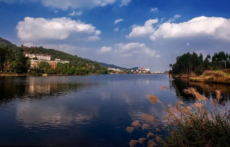 寻一隐蔽湖心岛享繁华外的慢时光