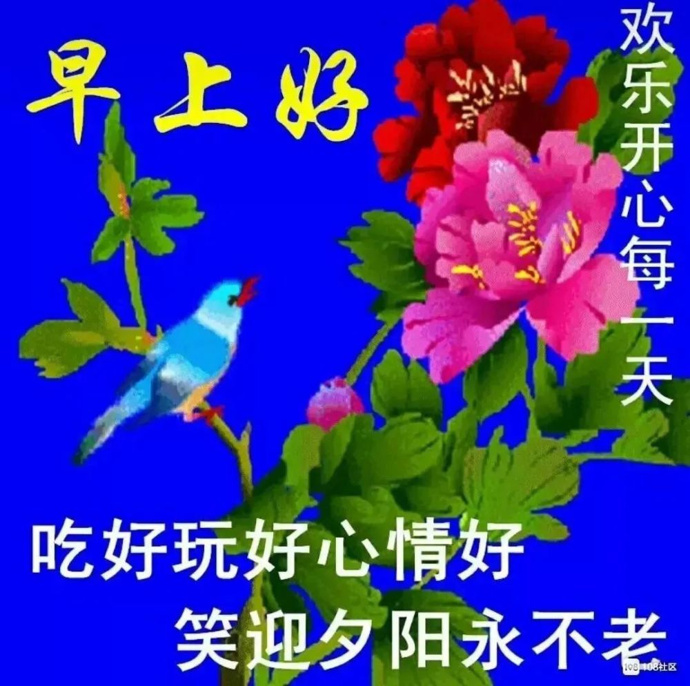 分享朋友圈最新版清晨早安祝福動態表情圖片早上好問候語動態表情圖