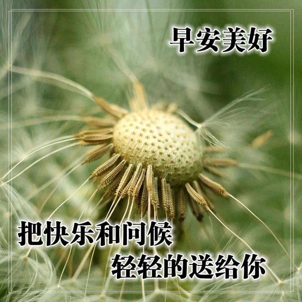 精闢睿智有格局的早安句子清晨很漂亮的秋天早安問候祝福圖片