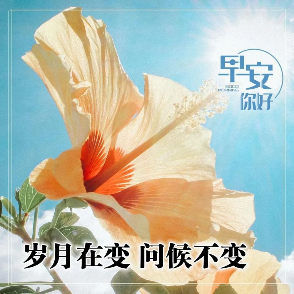 精闢睿智有格局的早安句子清晨很漂亮的秋天早安問候祝福圖片