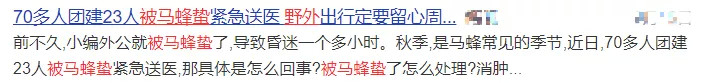 蜱虫|警惕！一男子野外游玩，被蜂蛰了险丧命！这些救命知识赶紧学