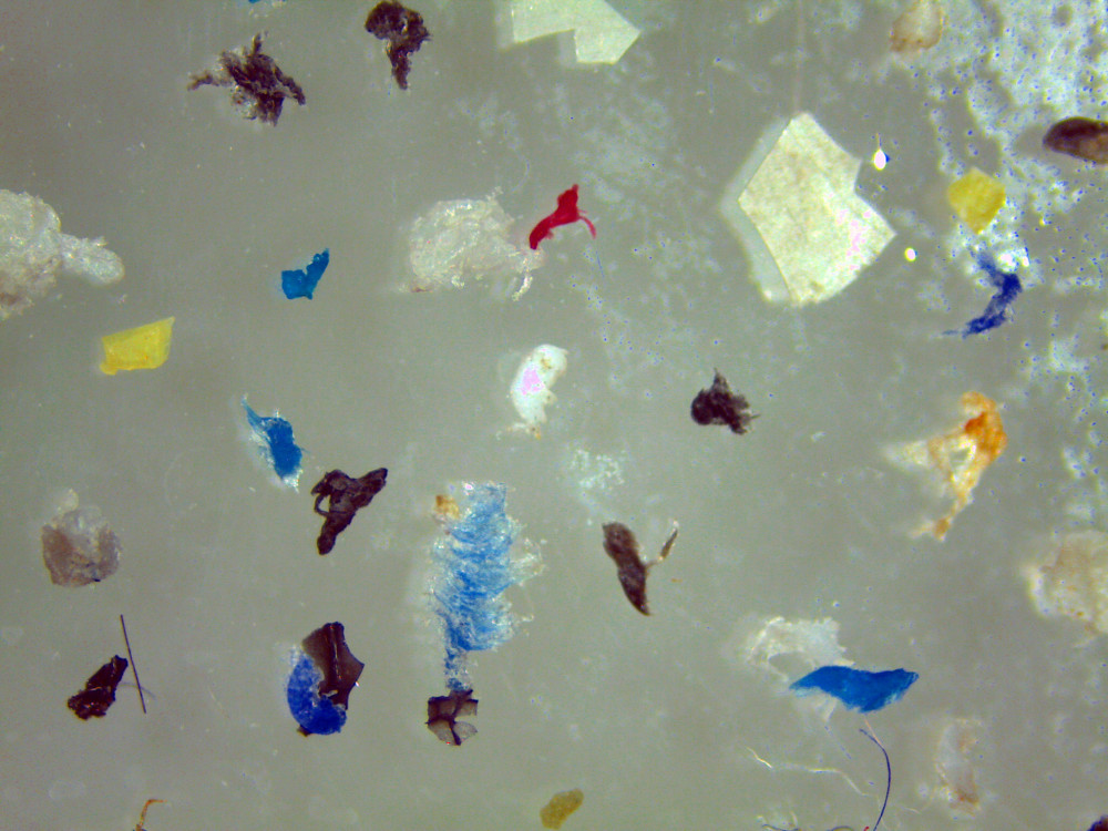 欧洲科研机构在人体内发现的微塑料哪里来的