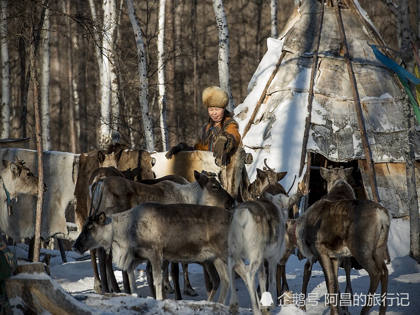 敖鲁古雅鄂温克族分布于中,俄两国的跨国界民族,在中国境内约有3万人
