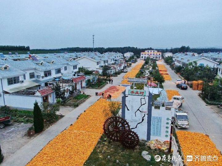 村民开起民宿,搞起深度体验游!齐河乡村旅游造"精品"吸常客