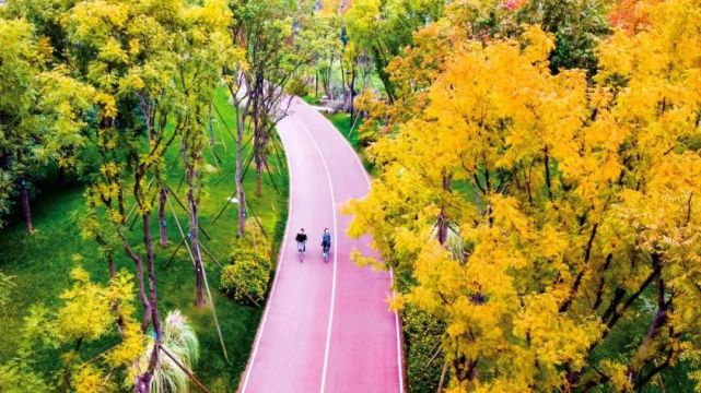 成都高新綠道騎行線路推薦|中和溼地公園|桂溪生態公園|溼地公園|騎行