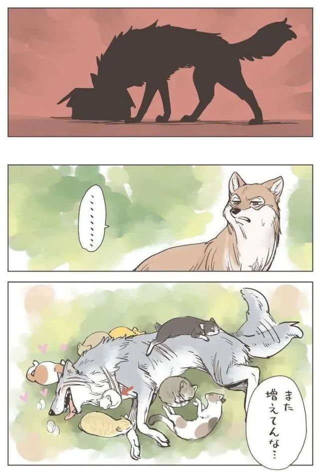 恶狼嘴里的小白兔 腾讯网