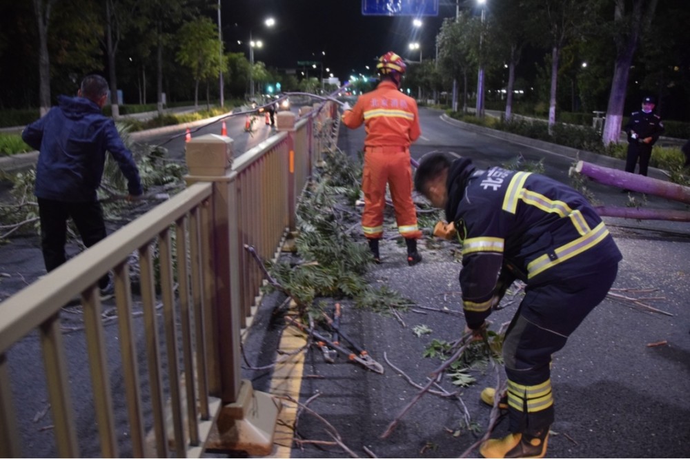 北京经济技术开发区|大风惹祸树倒拦路，消防员深夜锯树恢复交通