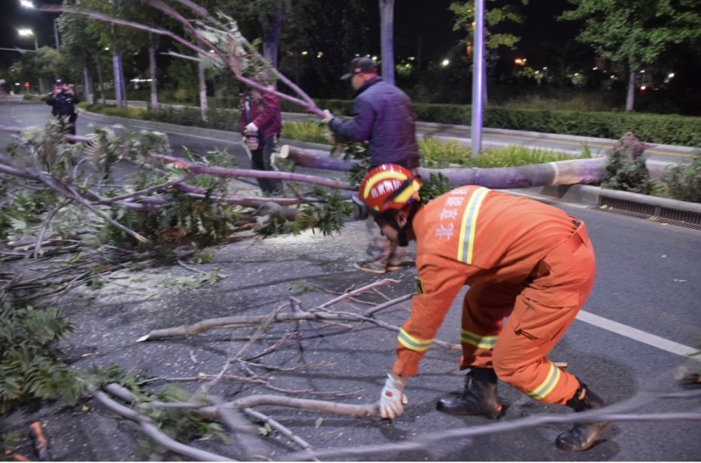 北京经济技术开发区|大风惹祸树倒拦路，消防员深夜锯树恢复交通