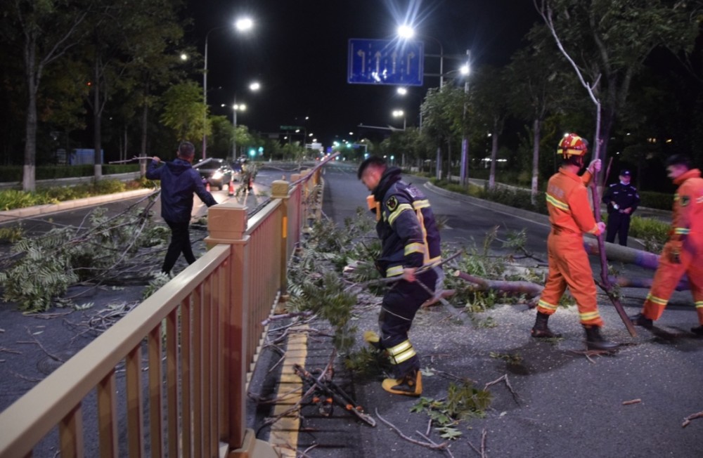 北京经济技术开发区|大风惹祸树倒拦路，消防员深夜锯树恢复交通