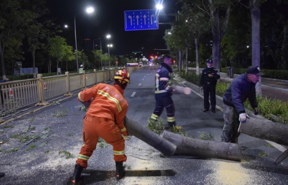 北京经济技术开发区|大风惹祸树倒拦路，消防员深夜锯树恢复交通