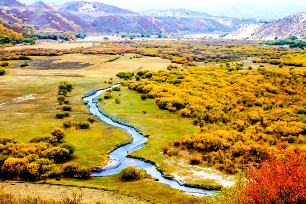 王惠玲|千家诗会·第69期·五律卷