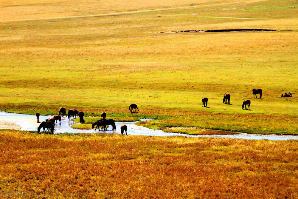 王惠玲|千家诗会·第69期·五律卷