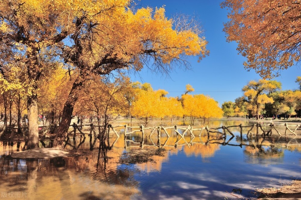 王惠玲|千家诗会·第69期·五律卷