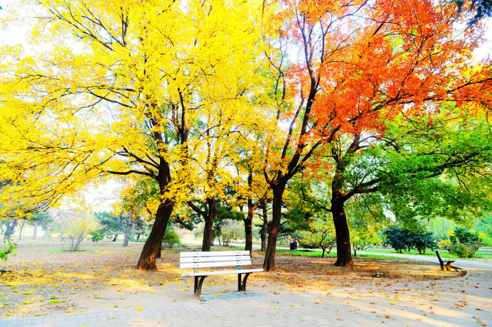 王惠玲|千家诗会·第69期·五律卷