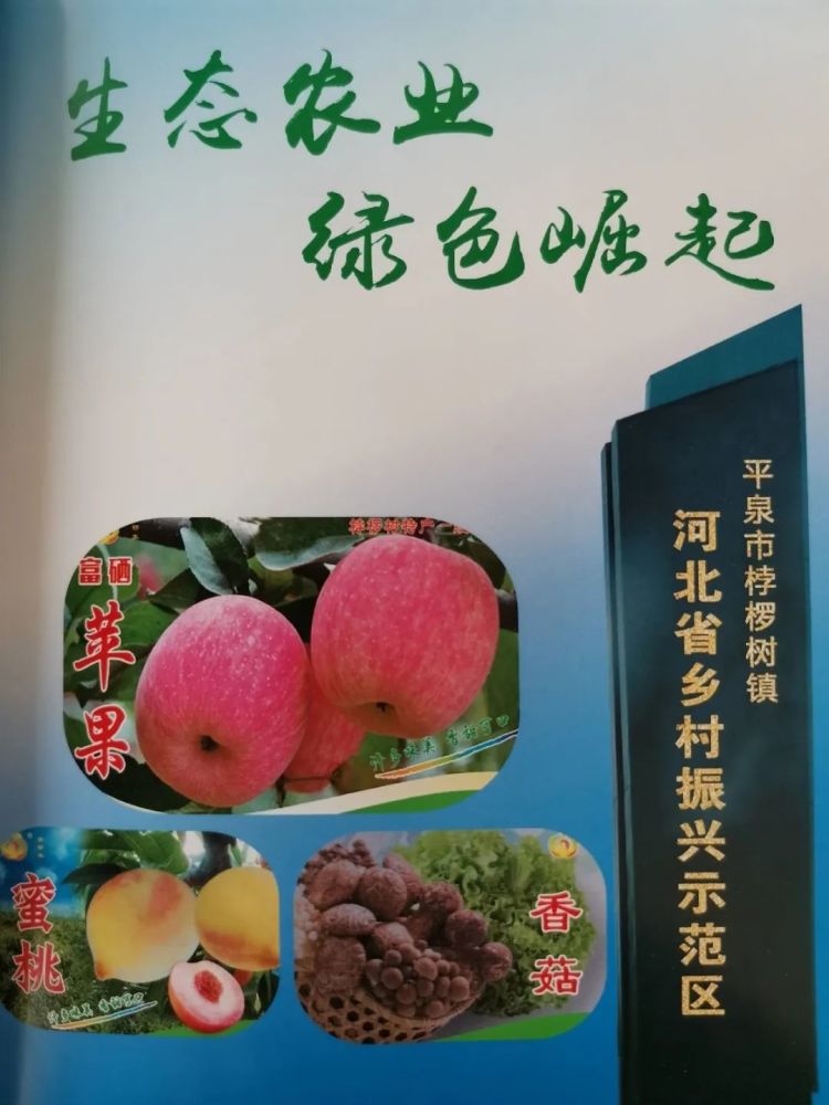 北京|“回到河北老家，收入直追北京，过得比城里还舒坦！”