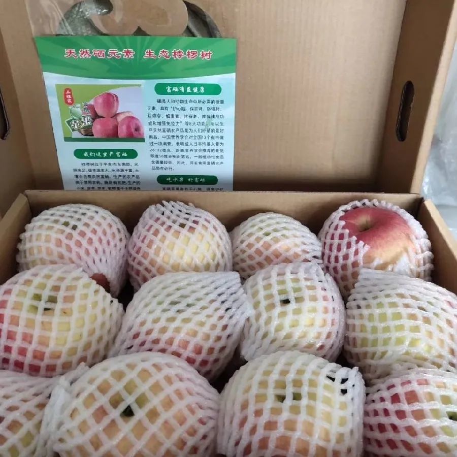 北京|“回到河北老家，收入直追北京，过得比城里还舒坦！”