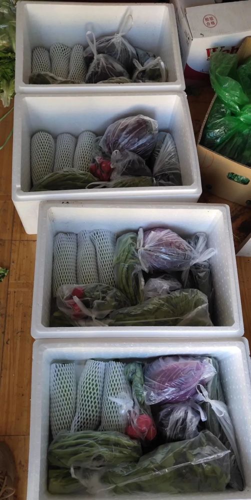 北京|“回到河北老家，收入直追北京，过得比城里还舒坦！”