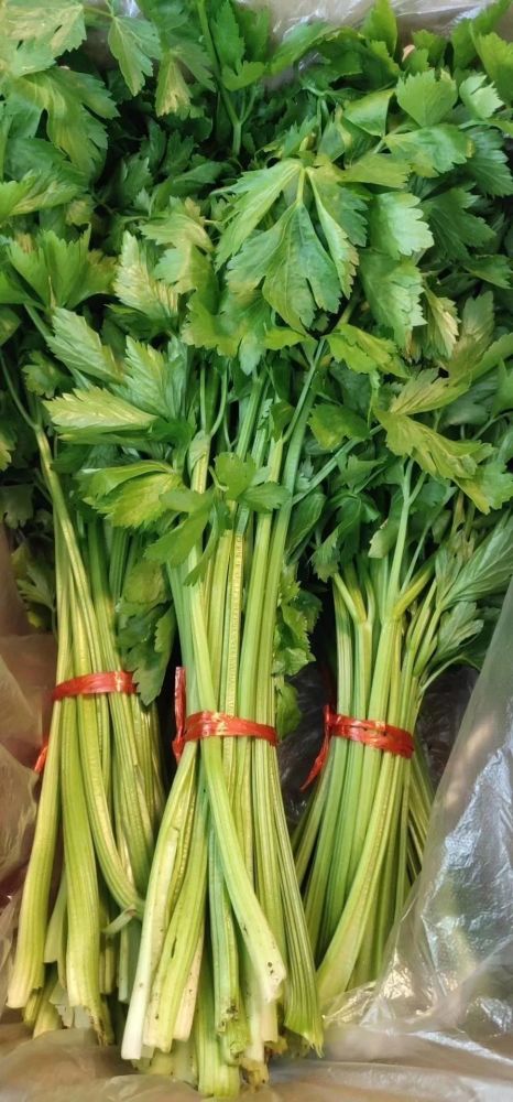 北京|“回到河北老家，收入直追北京，过得比城里还舒坦！”