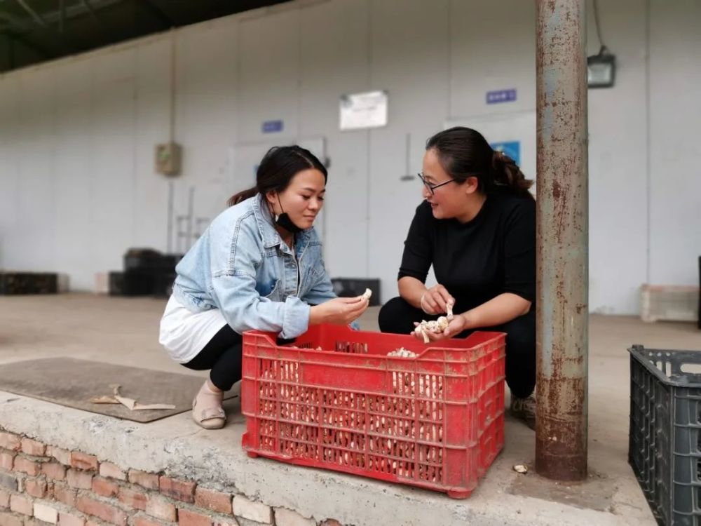 北京|“回到河北老家，收入直追北京，过得比城里还舒坦！”