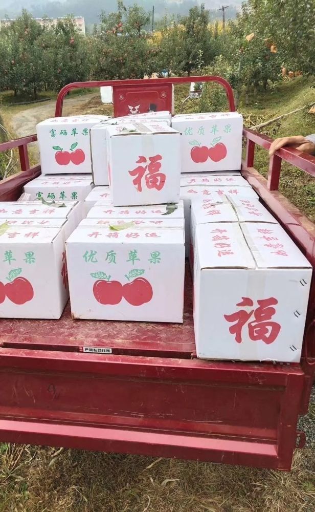 北京|“回到河北老家，收入直追北京，过得比城里还舒坦！”