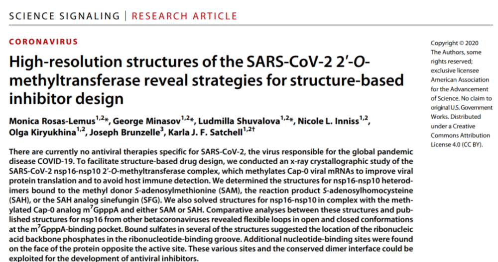 高分辨率|高分辨率SARS-CoV-2甲基转移酶结构揭示转录后加工分子机制