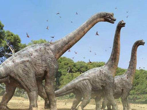 恐龙|曾经地球上的霸主，统治1.4亿年，恐龙为何没演化出文明？