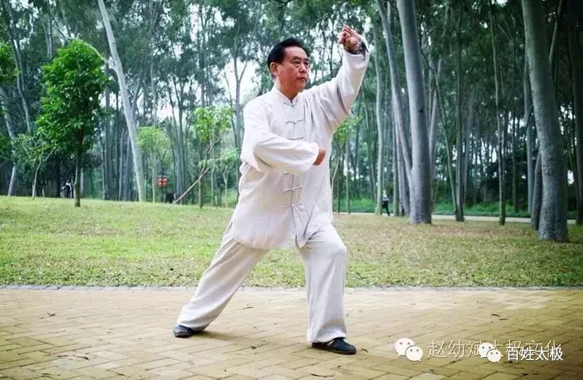 名家讲堂赵幼斌老师教学杨氏太极拳85式23高探马左右分脚