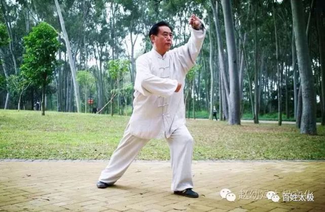 名家讲堂赵幼斌老师教学85式19斜飞式动作要领和易错之处并纠正