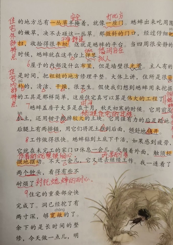 四年級語文上冊第十一課蟋蟀的住宅課文筆記預習專用