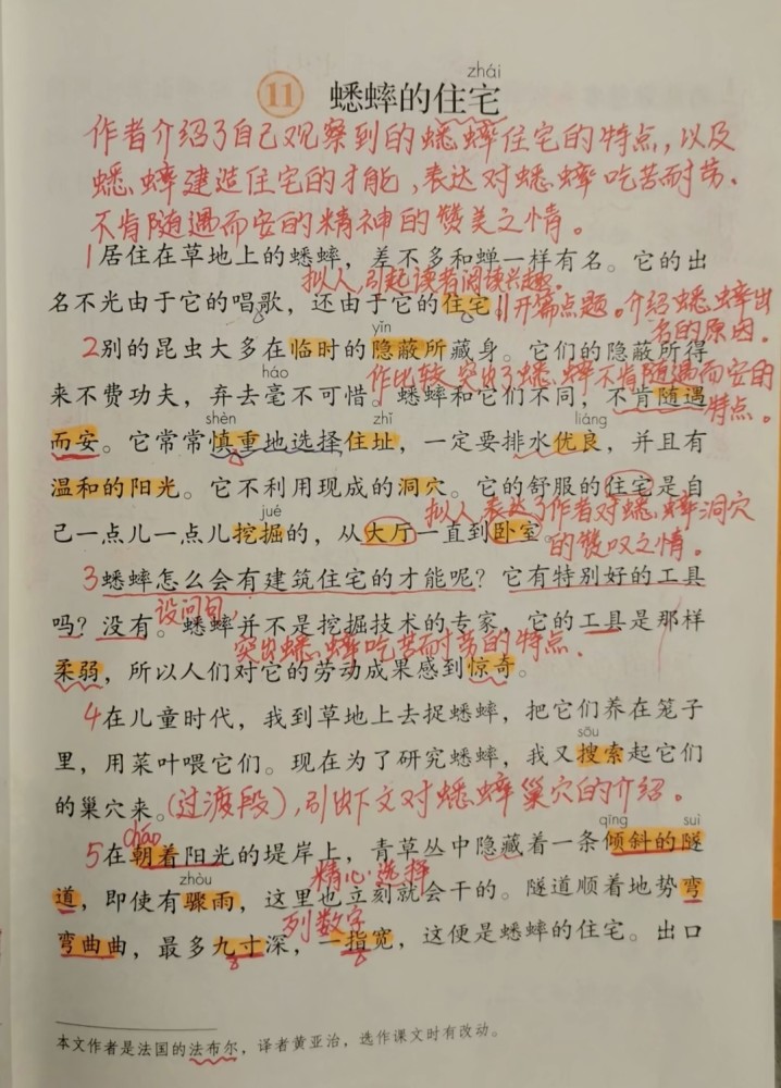 四年级语文上册第十一课蟋蟀的住宅课文笔记预习专用