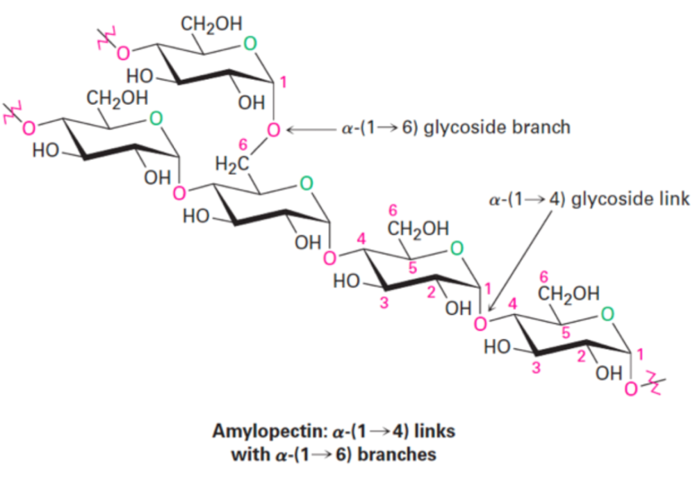 淀粉|为了做出更好吃的藕粉，他们用上了流体力学和弹性力学