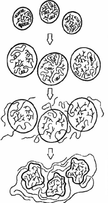淀粉|为了做出更好吃的藕粉，他们用上了流体力学和弹性力学