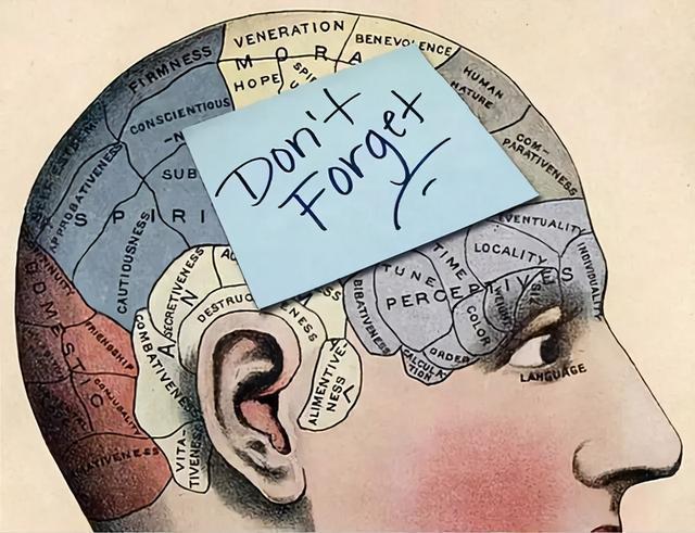 心理学家|动物有幼年记忆，人类却没有？心理学家：每个人都曾患童年失忆症