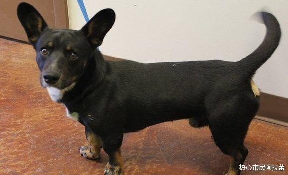 "哈哈哈哈果然让人意想不到!