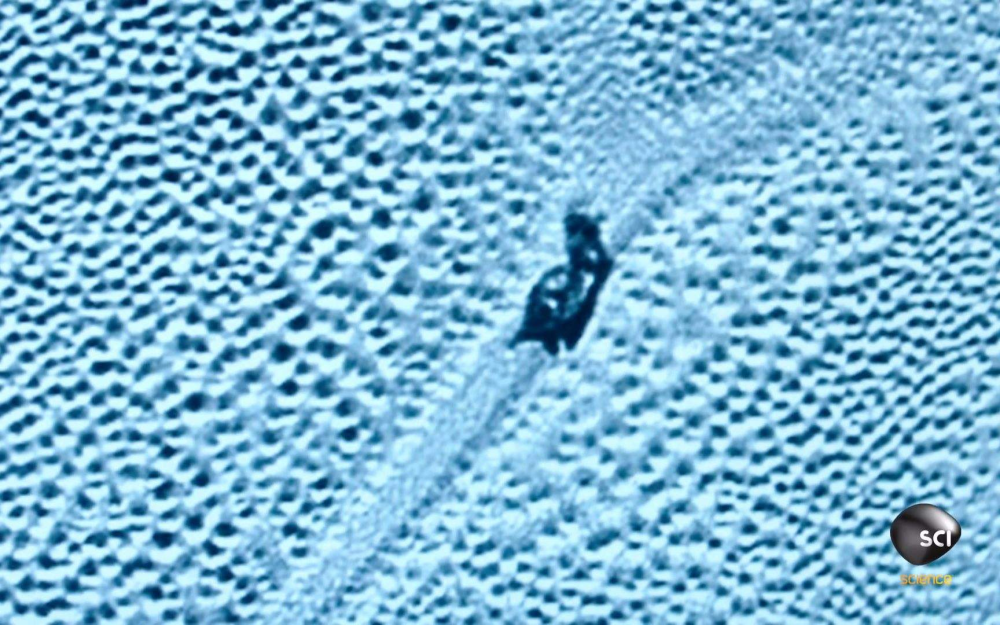 冥王星|NASA冥王星拍到一只“蜗牛”，它是外星生命吗？
