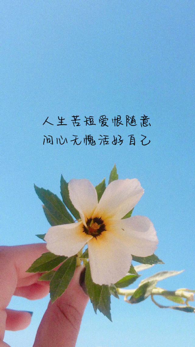 关于情感的文案图片其实能遇见就不算晚