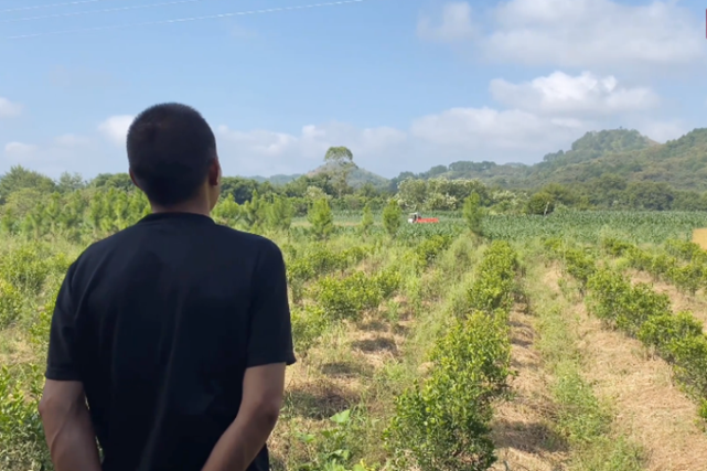 抢占金矿资源 造成多人死亡|灵宝市|三门峡|黑社会|陈子万