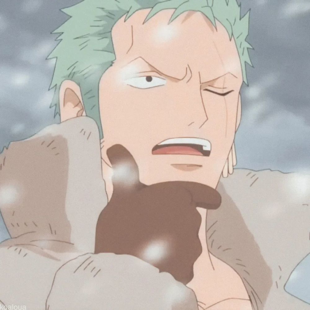 第11期动漫男头海贼王索隆