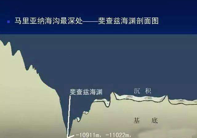 马里亚纳海沟|马里亚纳海沟是世界上最深的地方，海沟里的鱼为什么不会被压扁？