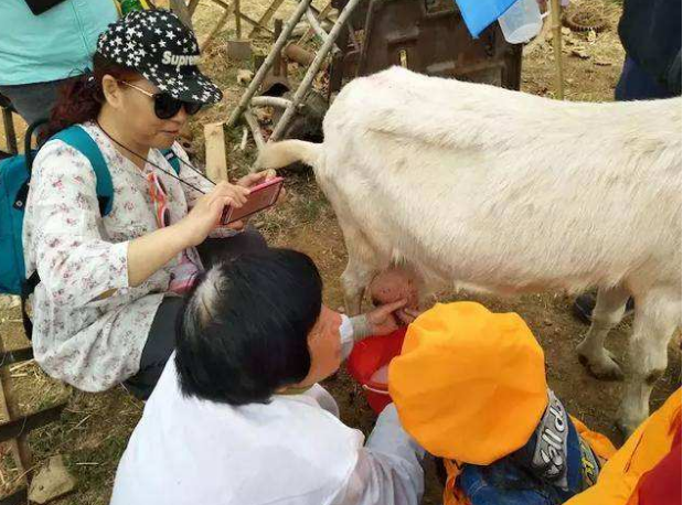 驴奶马奶羊奶谁更适合宝宝与价格无关家长要认准3种营养素