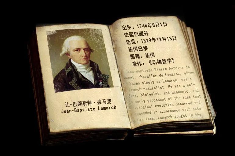 托马斯·摩尔根|生物进化探索史：10个推动进化理论的名字