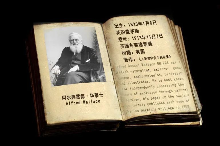 托马斯·摩尔根|生物进化探索史：10个推动进化理论的名字