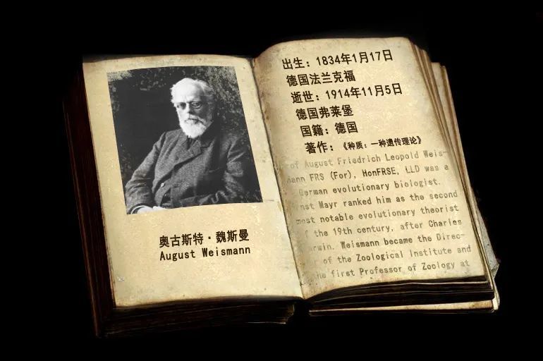 托马斯·摩尔根|生物进化探索史：10个推动进化理论的名字