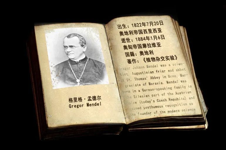 托马斯·摩尔根|生物进化探索史：10个推动进化理论的名字