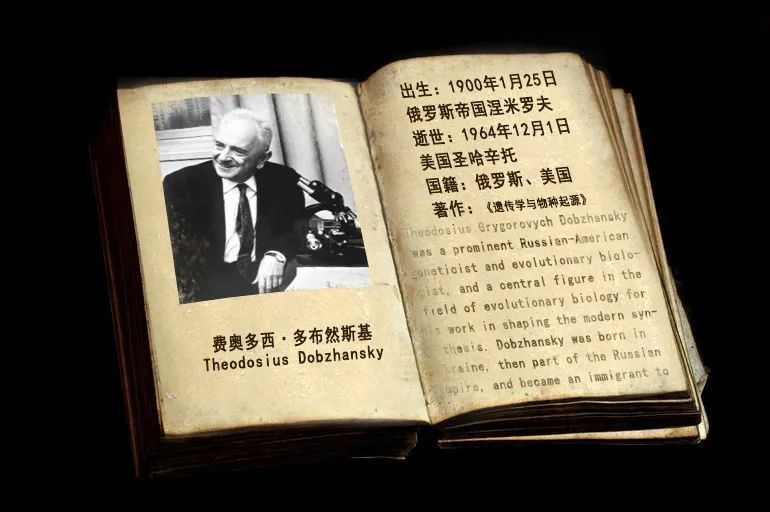 托马斯·摩尔根|生物进化探索史：10个推动进化理论的名字